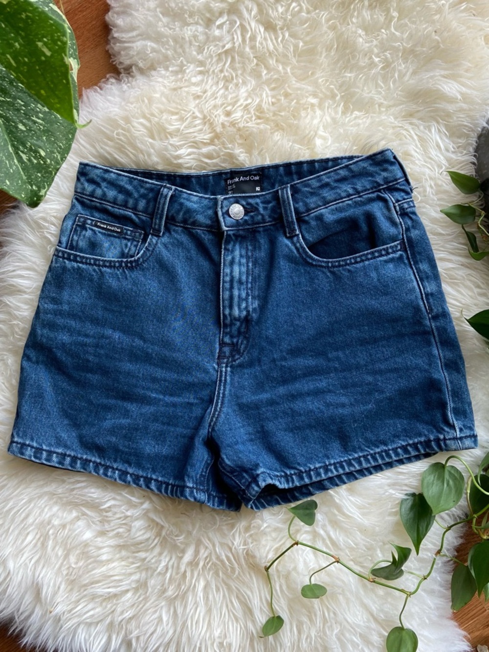 Frank & Oak Stevie High Rise Denim Shorts - size 27 Women’s Jean Shorts